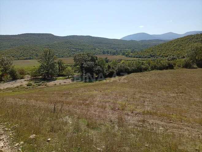 Satılır  torpaq 66 sot, photo 3 from 7