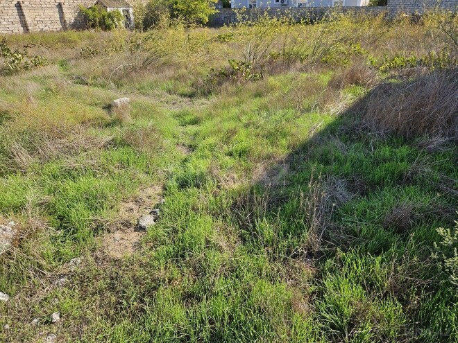 Satılır  torpaq 7 sot, Şüvəlan q., photo 7 from 8