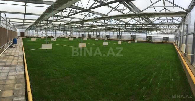 Satılır  obyekt 1 550 m², Türkan q., photo 22 from 31