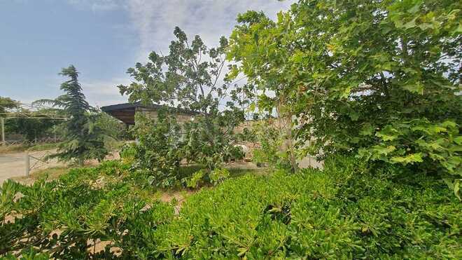 Satılır  obyekt 1 550 m², Türkan q., photo 13 from 31