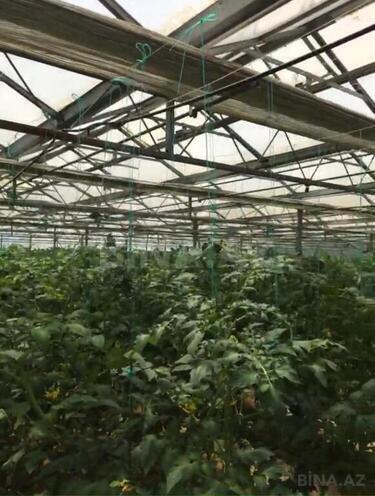 Satılır  obyekt 1 550 m², Türkan q., photo 28 from 31