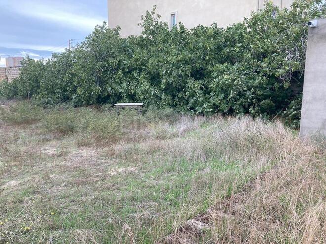 Satılır  torpaq 20 sot, Türkan q., photo 11 from 15