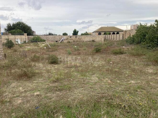 Satılır  torpaq 20 sot, Türkan q., photo 7 from 15