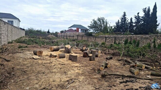 Продаётся  участок 19 сот, пос. Нардаран, photo 1 from 7