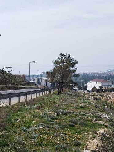 Satılır  torpaq 60 sot, Badamdar q., photo 7 from 10