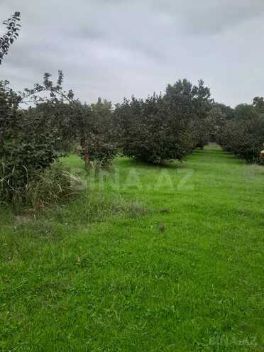 Продаётся  участок 40 сот, photo 8 from 9