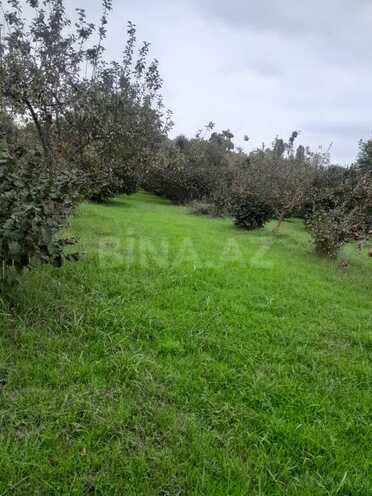 Продаётся  участок 40 сот, photo 7 from 9