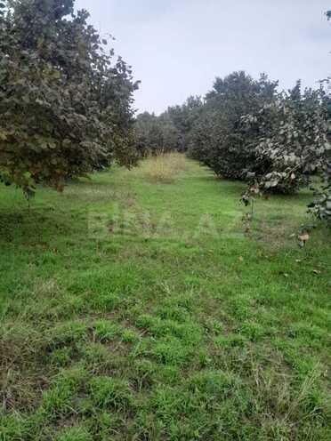 Продаётся  участок 40 сот, photo 6 from 9