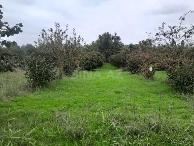 Продаётся  участок 40 сот, photo 3 from 9