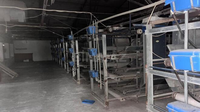 Продаётся  объект 17 000 м², пос. Геокмалы, photo 29 from 32