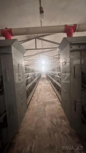 Продаётся  объект 17 000 м², пос. Геокмалы, photo 22 from 32