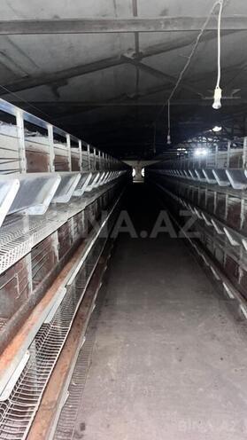 Продаётся  объект 17 000 м², пос. Геокмалы, photo 24 from 32