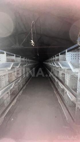 Продаётся  объект 17 000 м², пос. Геокмалы, photo 28 from 32