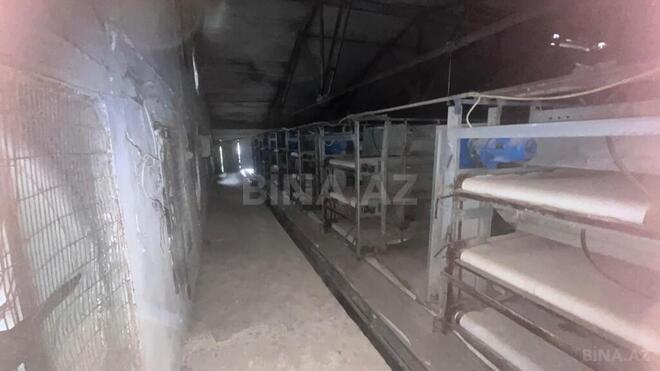 Продаётся  объект 17 000 м², пос. Геокмалы, photo 26 from 32