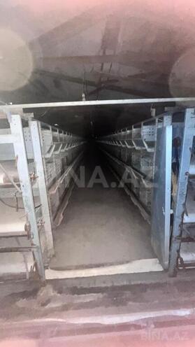 Продаётся  объект 17 000 м², пос. Геокмалы, photo 27 from 32