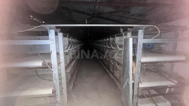 Продаётся  объект 17 000 м², пос. Геокмалы, photo 25 from 32