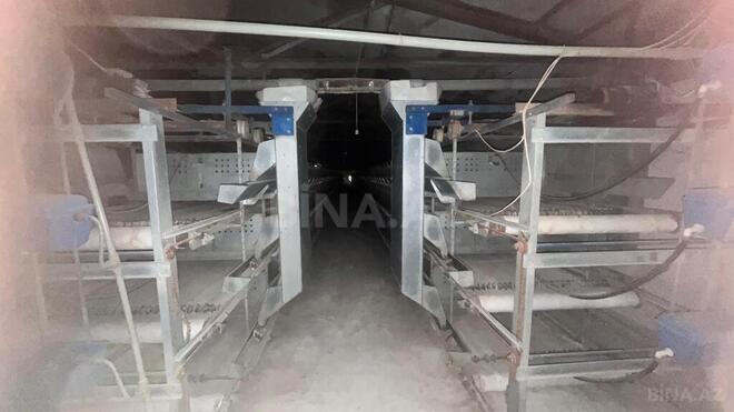 Продаётся  объект 17 000 м², пос. Геокмалы, photo 31 from 32