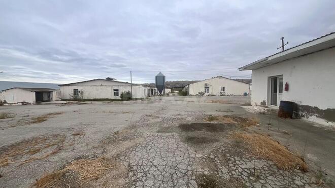 Продаётся  объект 17 000 м², пос. Геокмалы, photo 10 from 32