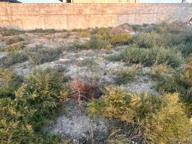 Satılır  torpaq 5.8 sot, Novxanı q., photo 5 from 9