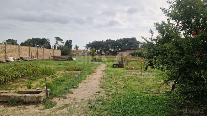 Продаётся  участок 46 сот, пос. Бузовна, photo 6 from 14