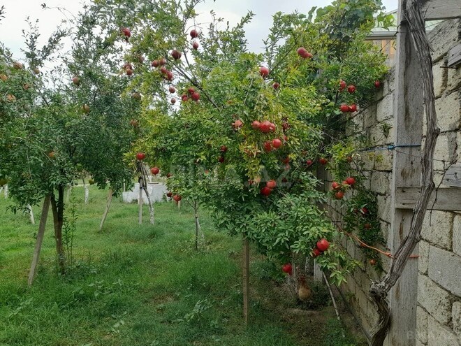 Продаётся 3-комн. дом/дача 104 м², пос. Рамана, photo 25 from 32