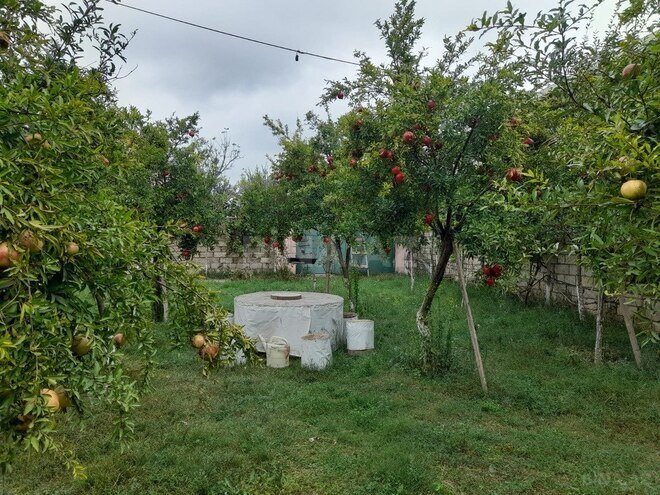 Продаётся 3-комн. дом/дача 104 м², пос. Рамана, photo 26 from 32