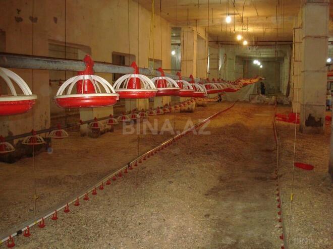 Satılır  obyekt 3 000 m², Xocəsən m., photo 11 from 16