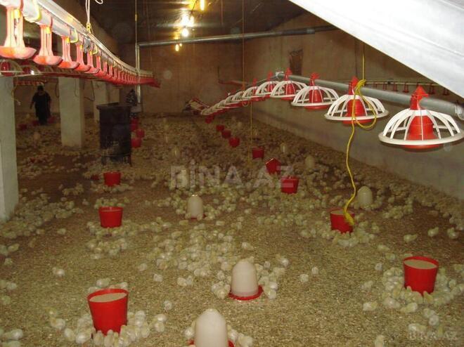 Satılır  obyekt 3 000 m², Xocəsən m., photo 6 from 16