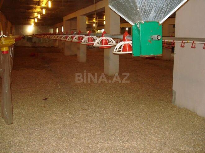 Satılır  obyekt 3 000 m², Xocəsən m., photo 10 from 16