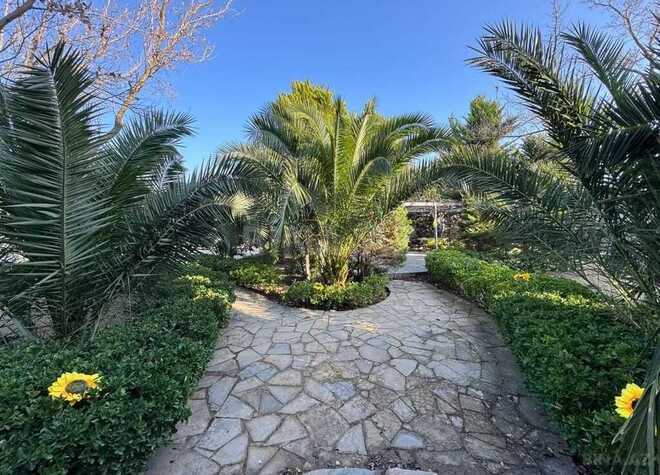 Satılır  torpaq 12 sot, Şüvəlan q., photo 3 from 10