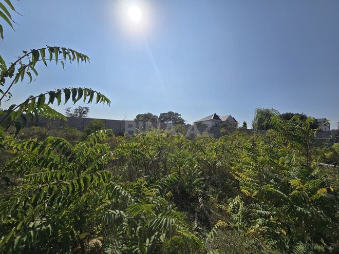 Продаётся  участок 40 сот, пос. Мардакан, photo 3 from 6