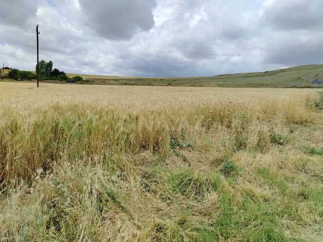 Продаётся  участок 4 100 сот, photo 7 from 14