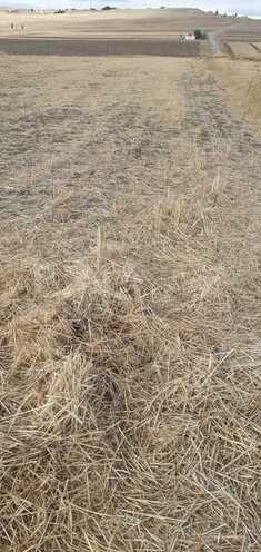 Satılır  torpaq 6 400 sot, photo 11 from 17