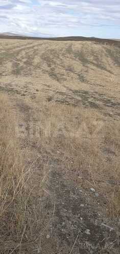 Satılır  torpaq 6 400 sot, photo 9 from 17