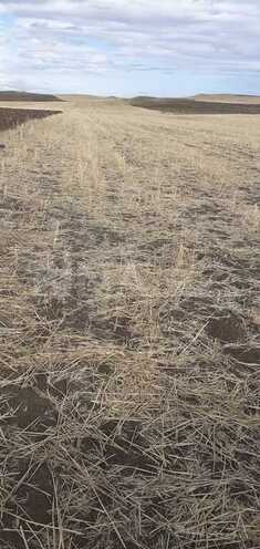 Satılır  torpaq 6 400 sot, photo 6 from 17