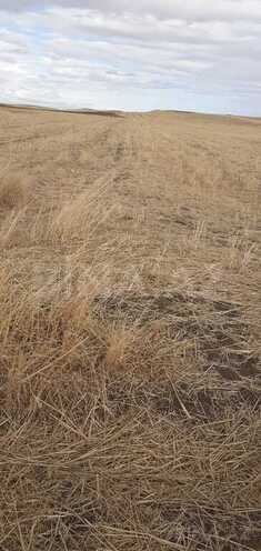 Satılır  torpaq 6 400 sot, photo 7 from 17