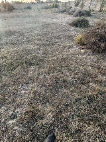 Продаётся  участок 12 сот, пос. Тюркан, photo 6 from 15