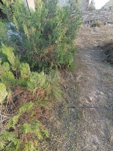 Продаётся  участок 12 сот, пос. Тюркан, photo 9 from 15