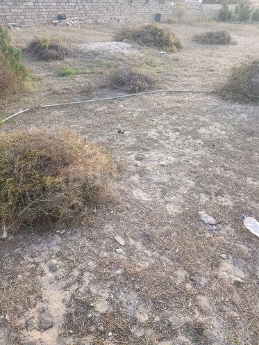 Продаётся  участок 12 сот, пос. Тюркан, photo 11 from 15