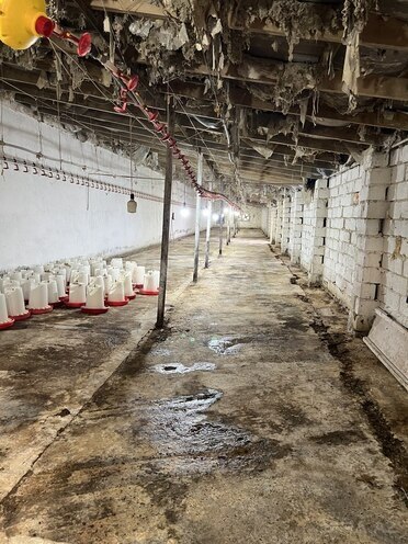 İcarəyə verilir  obyekt 350 m², Mehdiabad q., photo 3 from 5