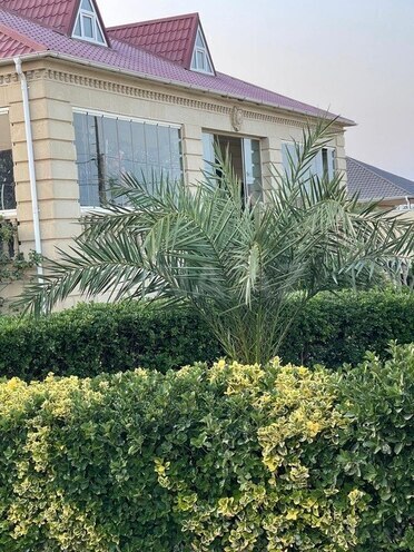 Satılır 4 otaqlı həyət evi/bağ evi 240 m², Pirallahı r., photo 9 from 29