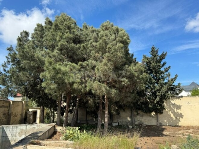 Satılır  torpaq 11 sot, Mərdəkan q., photo 5 from 13