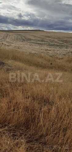 Satılır  torpaq 20 978.9 sot, photo 3 from 15