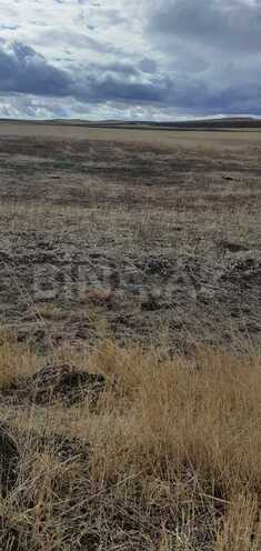 Продаётся  участок 3 939 сот, photo 12 from 15