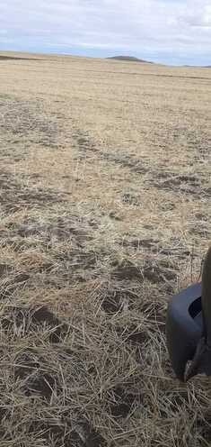 Продаётся  участок 3 939 сот, photo 7 from 15