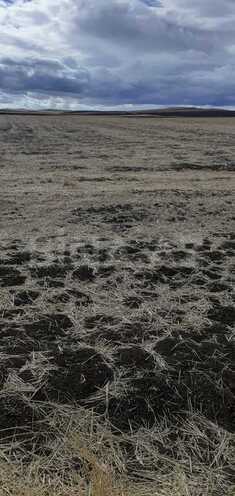 Продаётся  участок 3 939 сот, photo 9 from 15