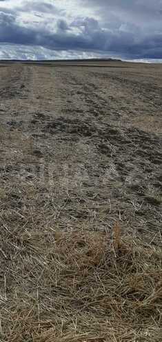 Продаётся  участок 3 939 сот, photo 11 from 15