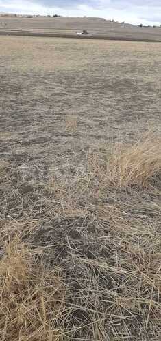 Продаётся  участок 3 939 сот, photo 4 from 15