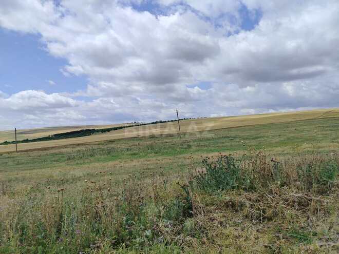 Продаётся  участок 63 362.2 сот, photo 4 from 22