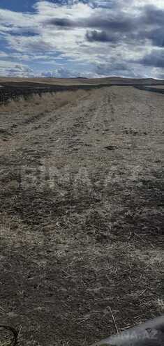 Продаётся  участок 63 362.2 сот, photo 9 from 22